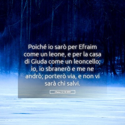 Picture 05 - Osea 5:14 RIV - Poiché io sarò per Efraim come un leone, e per - Bible Verse Picture