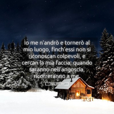 Picture 05 - Osea 5:15 RIV - Io me n’andrò e tornerò al mio luogo, - Bible Verse Picture