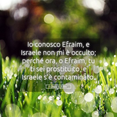 Picture 05 - Osea 5:3 RIV - Io conosco Efraim, e Israele non mi è occulto; - Bible Verse Picture