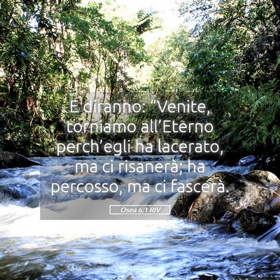 Picture 05 - Osea 6:1 RIV - E diranno: “Venite, torniamo all’Eterno - Bible Verse Picture