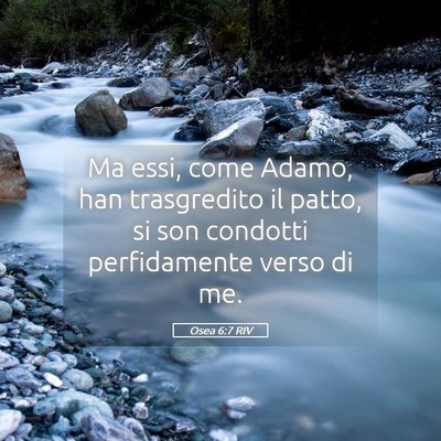Picture 05 - Osea 6:7 RIV - Ma essi, come Adamo, han trasgredito il patto, si - Bible Verse Picture