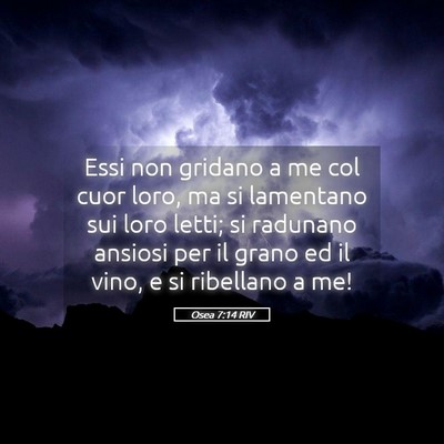 Picture 05 - Osea 7:14 RIV - Essi non gridano a me col cuor loro, ma si - Bible Verse Picture