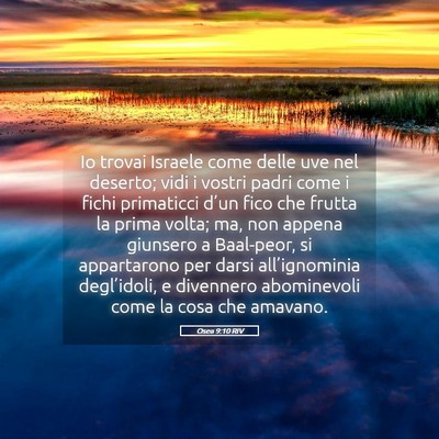 Picture 05 - Osea 9:10 RIV - Io trovai Israele come delle uve nel deserto; - Bible Verse Picture