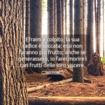 Picture 05 - Osea 9:16 RIV - Efraim è colpito, la sua radice è seccata; essi - Bible Verse Picture