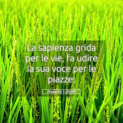 Picture 05 - Proverbi 1:20 RIV - La sapienza grida per le vie, fa udire la sua - Bible Verse Picture