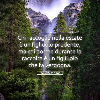 Picture 05 - Proverbi 10:5 RIV - Chi raccoglie nella estate è un figliuolo - Bible Verse Picture