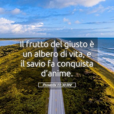 Picture 05 - Proverbi 11:30 RIV - Il frutto del giusto è un albero di vita, e il - Bible Verse Picture