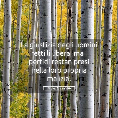 Picture 05 - Proverbi 11:6 RIV - La giustizia degli uomini retti li libera, ma i - Bible Verse Picture