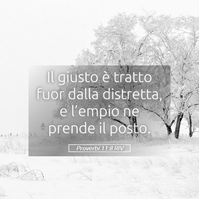 Picture 05 - Proverbi 11:8 RIV - Il giusto è tratto fuor dalla distretta, e - Bible Verse Picture