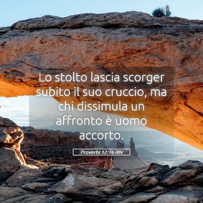Picture 05 - Proverbi 12:16 RIV - Lo stolto lascia scorger subito il suo cruccio, - Bible Verse Picture