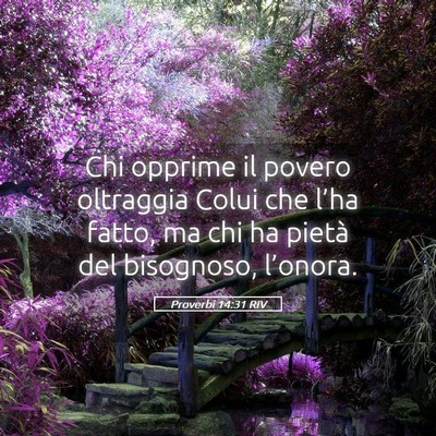 Picture 05 - Proverbi 14:31 RIV - Chi opprime il povero oltraggia Colui che l’ha - Bible Verse Picture