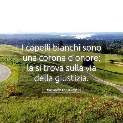 Picture 05 - Proverbi 16:31 RIV - I capelli bianchi sono una corona d’onore; la - Bible Verse Picture