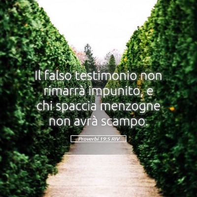 Picture 05 - Proverbi 19:5 RIV - Il falso testimonio non rimarrà impunito, e chi - Bible Verse Picture
