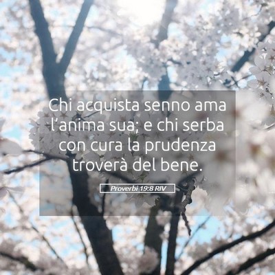 Picture 05 - Proverbi 19:8 RIV - Chi acquista senno ama l’anima sua; e chi serba - Bible Verse Picture