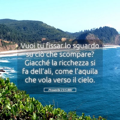 Picture 05 - Proverbi 23:5 RIV - Vuoi tu fissar lo sguardo su ciò che scompare? - Bible Verse Picture