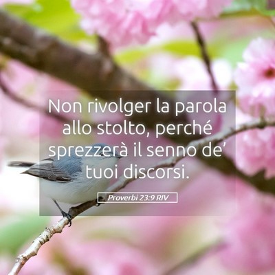 Picture 05 - Proverbi 23:9 RIV - Non rivolger la parola allo stolto, perché - Bible Verse Picture