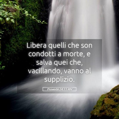 Picture 05 - Proverbi 24:11 RIV - Libera quelli che son condotti a morte, e salva - Bible Verse Picture
