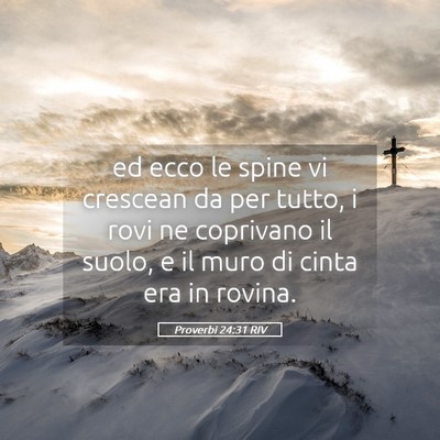 Picture 05 - Proverbi 24:31 RIV - ed ecco le spine vi crescean da per tutto, i rovi - Bible Verse Picture