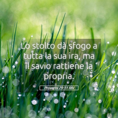 Picture 05 - Proverbi 29:11 RIV - Lo stolto dà sfogo a tutta la sua ira, ma il - Bible Verse Picture