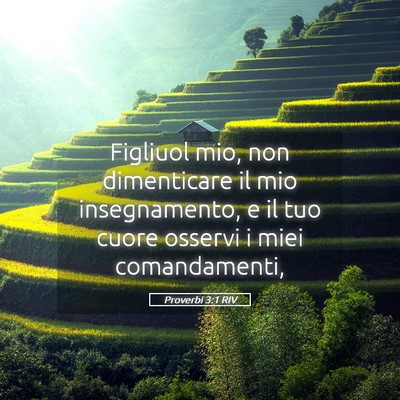 Picture 05 - Proverbi 3:1 RIV - Figliuol mio, non dimenticare il mio - Bible Verse Picture