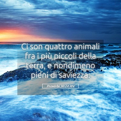 Picture 05 - Proverbi 30:24 RIV - Ci son quattro animali fra i più piccoli della - Bible Verse Picture