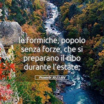 Picture 05 - Proverbi 30:25 RIV - le formiche, popolo senza forze, che si preparano - Bible Verse Picture