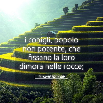 Picture 05 - Proverbi 30:26 RIV - i conigli, popolo non potente, che fissano la - Bible Verse Picture