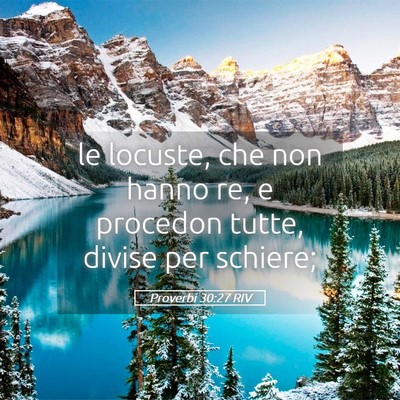 Picture 05 - Proverbi 30:27 RIV - le locuste, che non hanno re, e procedon tutte, - Bible Verse Picture