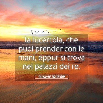 Picture 05 - Proverbi 30:28 RIV - la lucertola, che puoi prender con le mani, eppur - Bible Verse Picture
