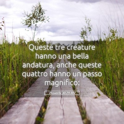 Picture 05 - Proverbi 30:29 RIV - Queste tre creature hanno una bella andatura, - Bible Verse Picture
