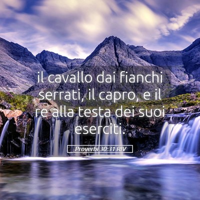 Picture 05 - Proverbi 30:31 RIV - il cavallo dai fianchi serrati, il capro, e il re - Bible Verse Picture