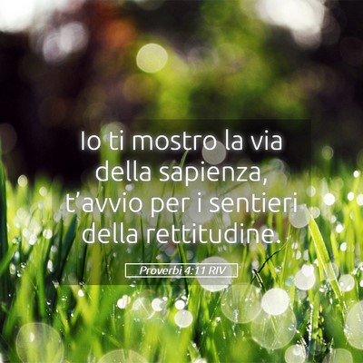 Picture 05 - Proverbi 4:11 RIV - Io ti mostro la via della sapienza, t’avvio per - Bible Verse Picture
