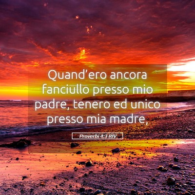 Picture 05 - Proverbi 4:3 RIV - Quand’ero ancora fanciullo presso mio padre, - Bible Verse Picture