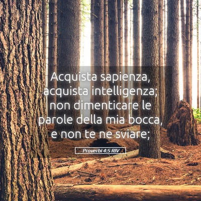 Picture 05 - Proverbi 4:5 RIV - Acquista sapienza, acquista intelligenza; non - Bible Verse Picture