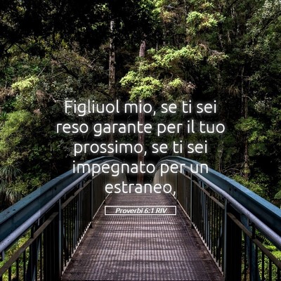 Picture 05 - Proverbi 6:1 RIV - Figliuol mio, se ti sei reso garante per il tuo - Bible Verse Picture