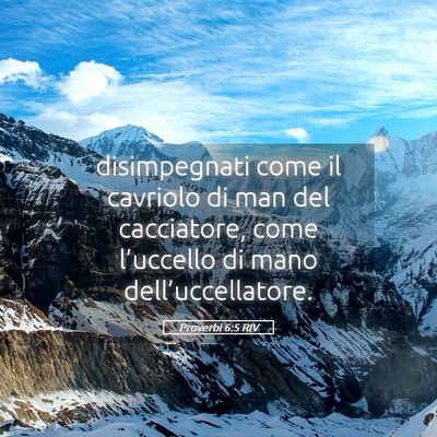 Picture 05 - Proverbi 6:5 RIV - disimpegnati come il cavriolo di man del - Bible Verse Picture