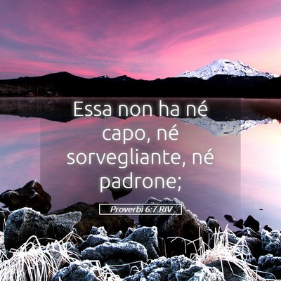 Picture 05 - Proverbi 6:7 RIV - Essa non ha né capo, né sorvegliante, né - Bible Verse Picture