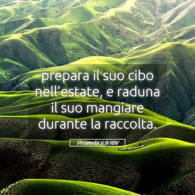 Picture 05 - Proverbi 6:8 RIV - prepara il suo cibo nell’estate, e raduna il - Bible Verse Picture