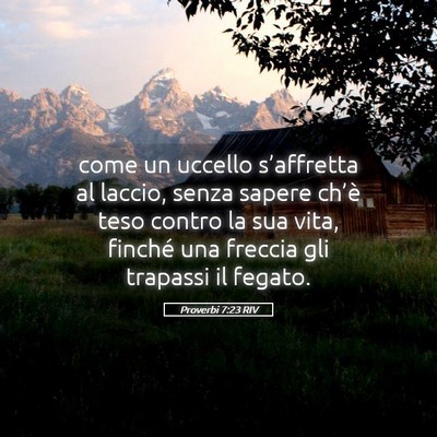 Picture 05 - Proverbi 7:23 RIV - come un uccello s’affretta al laccio, senza - Bible Verse Picture