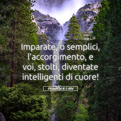 Picture 05 - Proverbi 8:5 RIV - Imparate, o semplici, l’accorgimento, e voi, - Bible Verse Picture