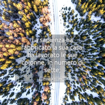 Picture 05 - Proverbi 9:1 RIV - La sapienza ha fabbricato la sua casa, ha - Bible Verse Picture