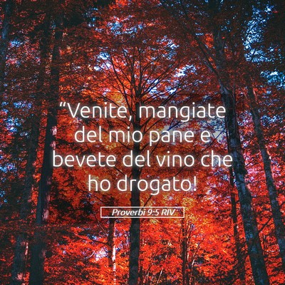Picture 05 - Proverbi 9:5 RIV - “Venite, mangiate del mio pane e bevete del - Bible Verse Picture