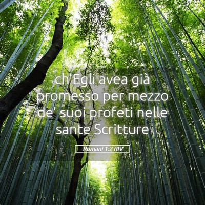 Picture 05 - Romani 1:2 RIV - ch’Egli avea già promesso per mezzo de’ suoi - Bible Verse Picture