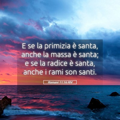 Picture 05 - Romani 11:16 RIV - E se la primizia è santa, anche la massa è - Bible Verse Picture