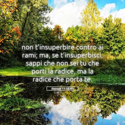 Picture 05 - Romani 11:18 RIV - non t’insuperbire contro ai rami; ma, se - Bible Verse Picture