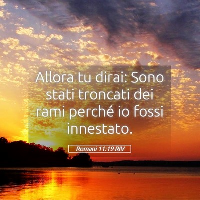 Picture 05 - Romani 11:19 RIV - Allora tu dirai: Sono stati troncati dei rami - Bible Verse Picture