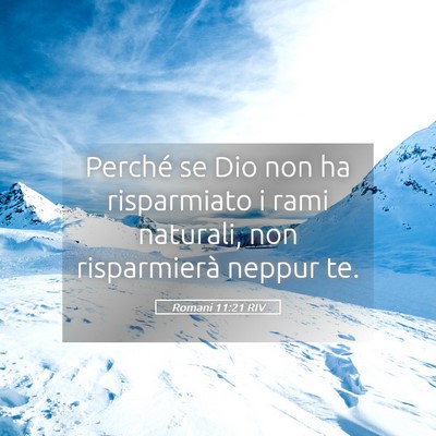 Picture 05 - Romani 11:21 RIV - Perché se Dio non ha risparmiato i rami - Bible Verse Picture