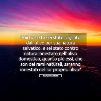 Picture 05 - Romani 11:24 RIV - Poiché se tu sei stato tagliato dall’ulivo per - Bible Verse Picture