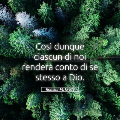 Picture 05 - Romani 14:12 RIV - Così dunque ciascun di noi renderà conto di se - Bible Verse Picture