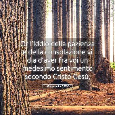Picture 05 - Romani 15:5 RIV - Or l’Iddio della pazienza e della consolazione - Bible Verse Picture